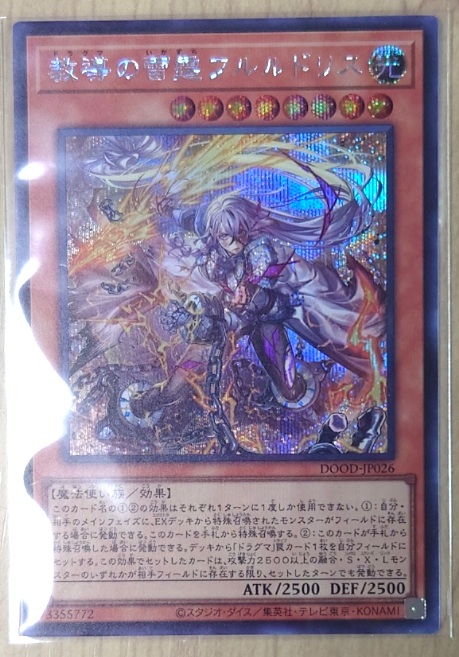 教導の雷霆フルルドリス